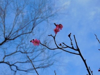 21.2.1.1.jpg