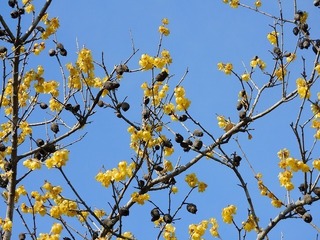 21.2.18.2.jpg