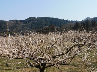21.3.1.1.jpg