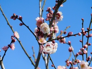 21.3.18.1.jpg