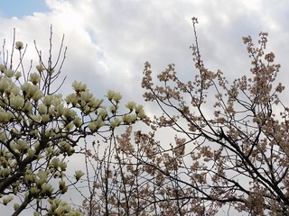 21.3.25.2.jpg