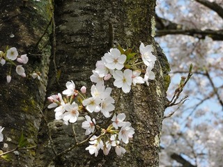 21.4.10.3.jpg