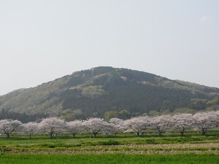 21.4.10.4.jpg