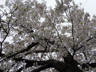 21.4.10.5.jpg