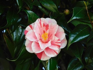 21.4.13.1.jpg