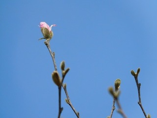 21.4.15.2.jpg