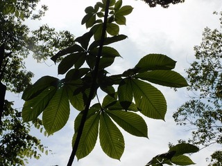 21.5.18.3.jpg