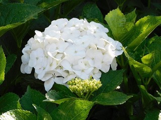 21.6.13.1.jpg