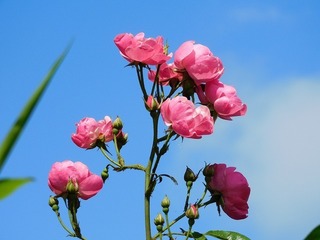 21.6.13.2.jpg
