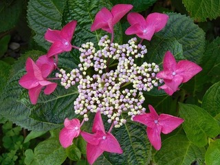 21.6.21.1.jpg