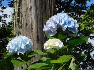 21.6.26.2.jpg