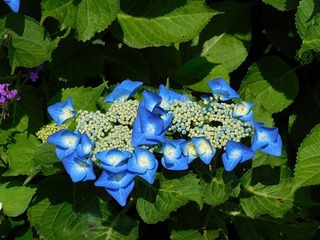 21.6.7.1.jpg