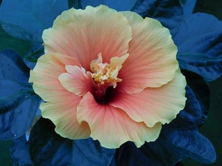 21.9.18.1.jpg