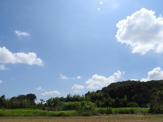 220726.jpg