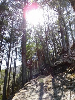 30.3.28.2.jpg