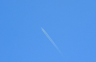 DSCN2439.jpg