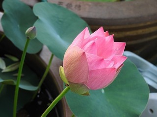 DSCN4969.jpg