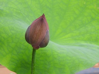 DSCN6573.jpg