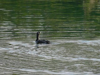 DSCN9003.jpg